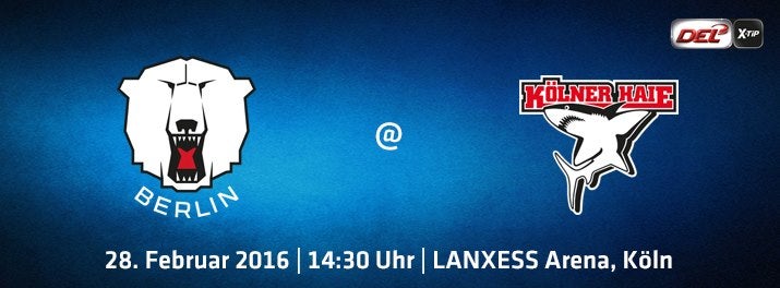 Ab 14:30 Uhr live: die Eisbären in Köln!