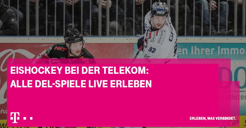 Eishockey satt!